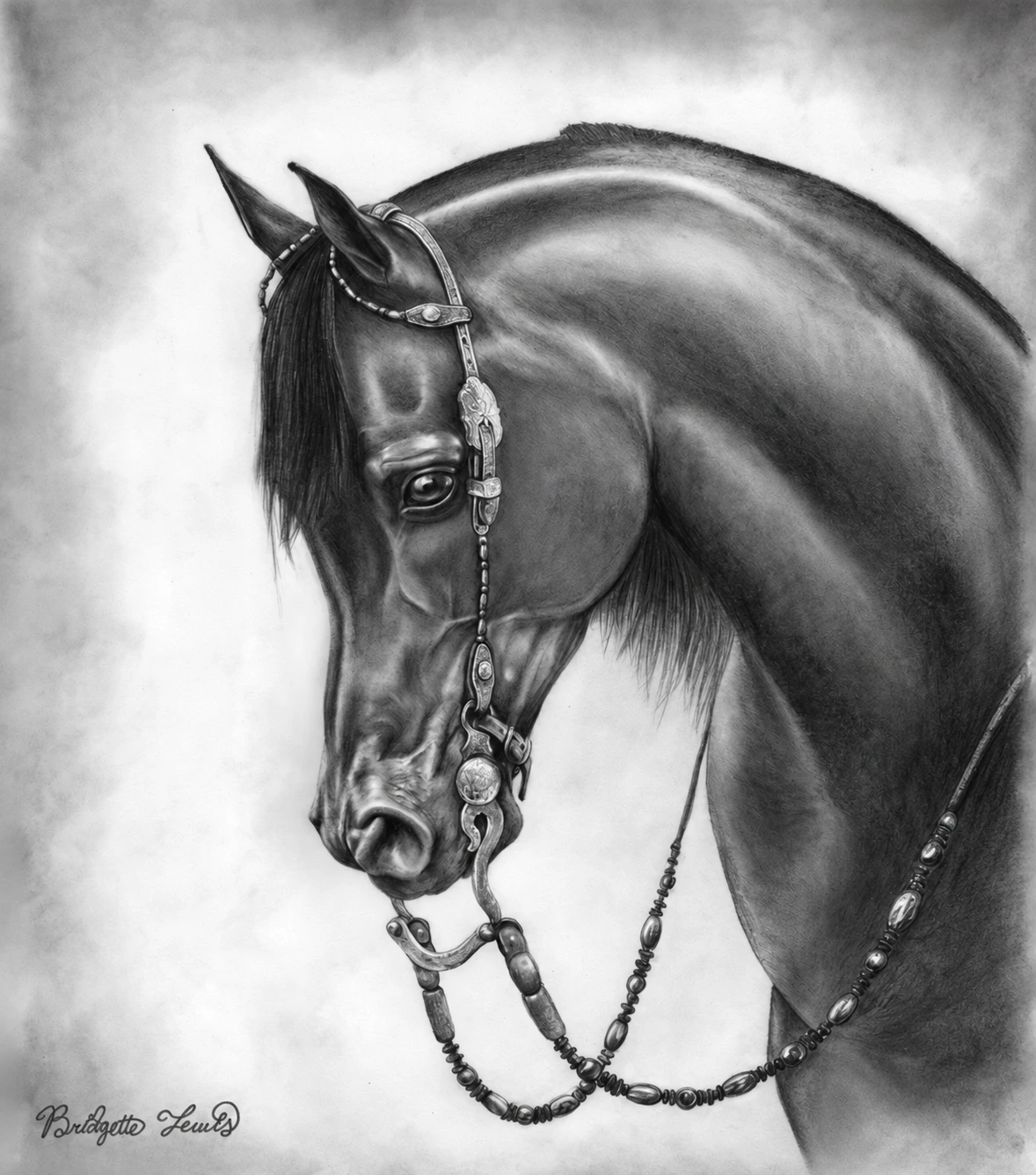 Arabian Horse — artwork by Bridgette Lewis