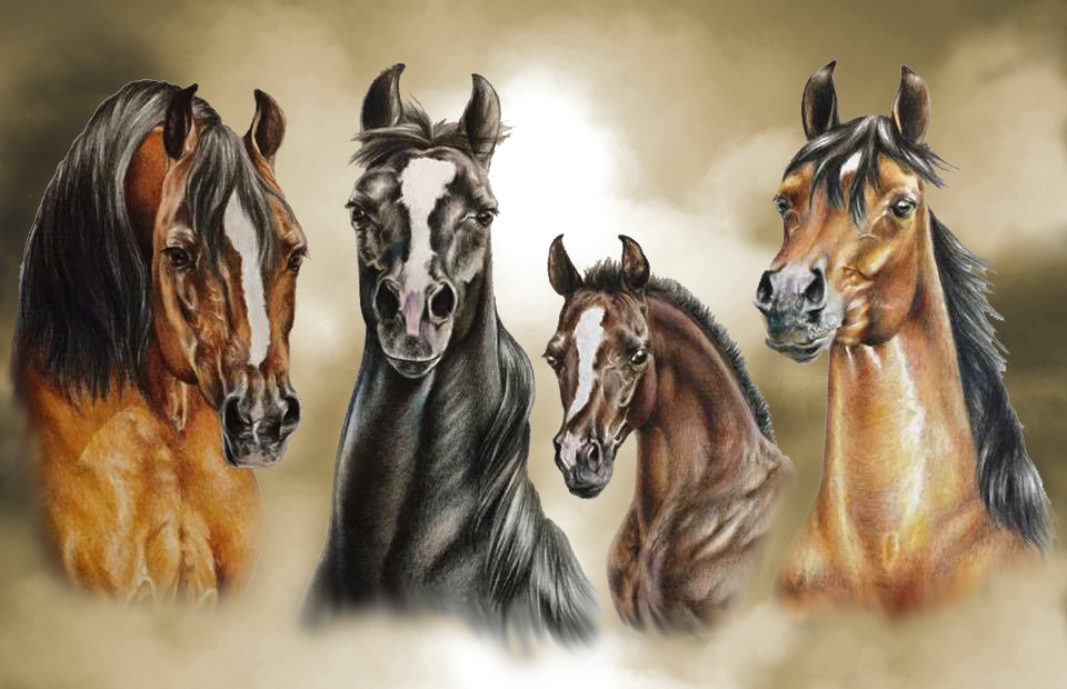 Four Arabians — artwork by Bridgette Lewis