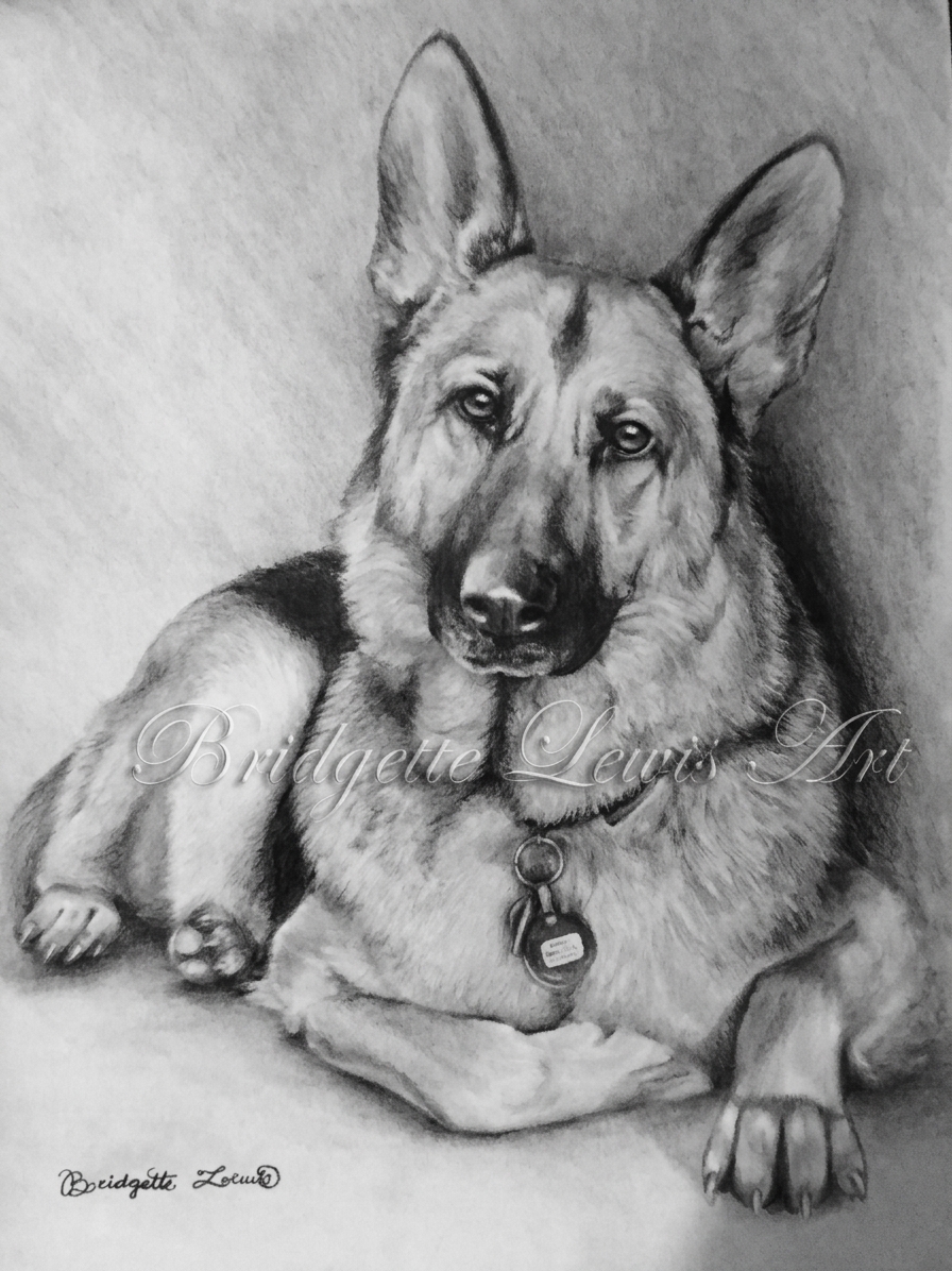 German Shepherd — artwork by Bridgette Lewis