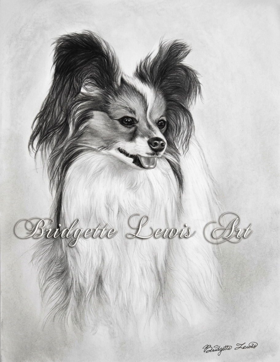 Papillon — artwork by Bridgette Lewis
