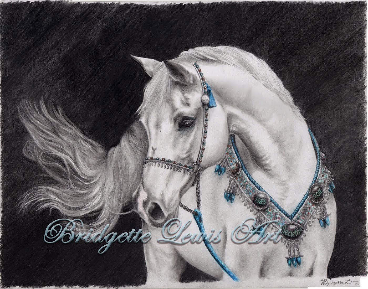 White Arabian in a Breast Collar — artwork by Bridgette Lewis