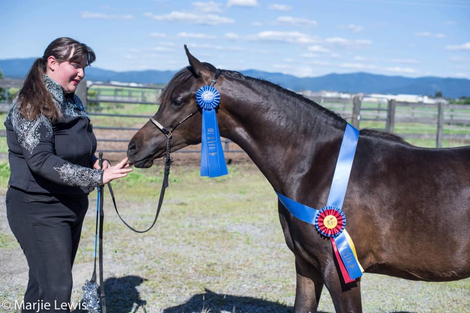 Bridgette with Mariah and show ribbons