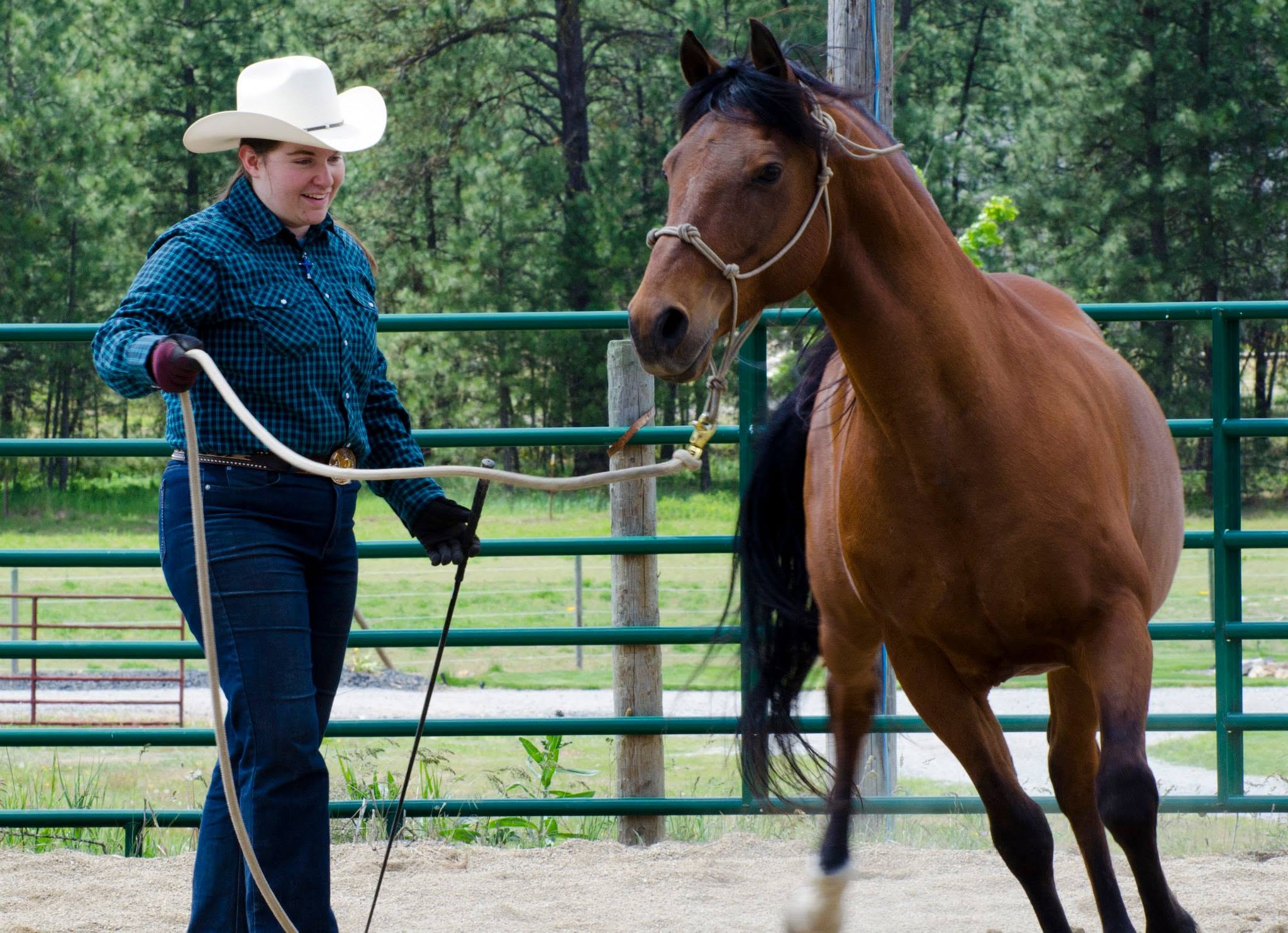 Bridgette lunging a horse