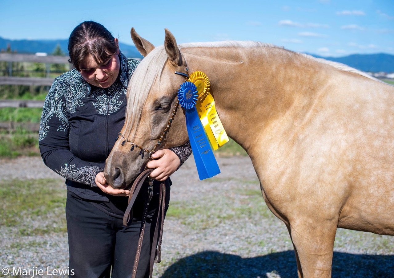 Bridgette and Taffy with show ribbons