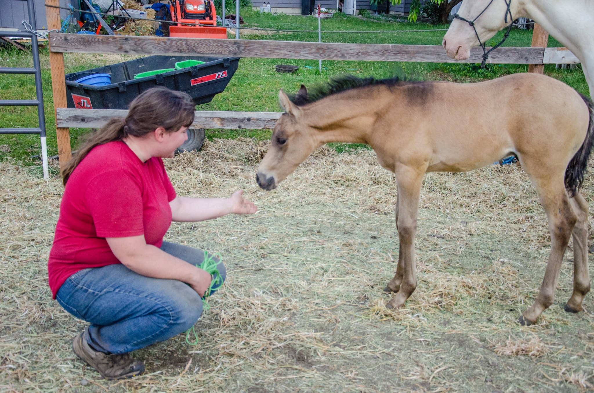 Bridgette with Nugget as a foal